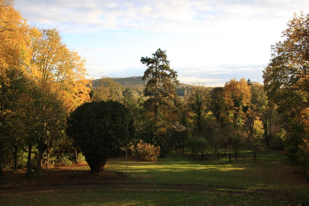 Villa Du Chatelet Choisy-au-Bac Oda fotoğraf